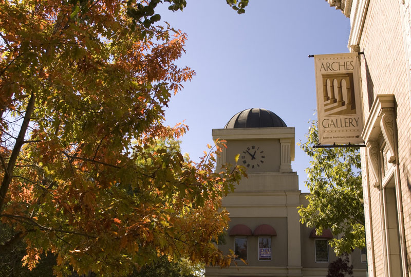 healdsburg_foliage_1