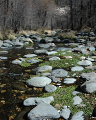 oak creek boulders
