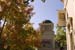 healdsburg_foliage_1
