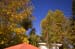 hotel_foliage