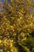 hotel_foliage2